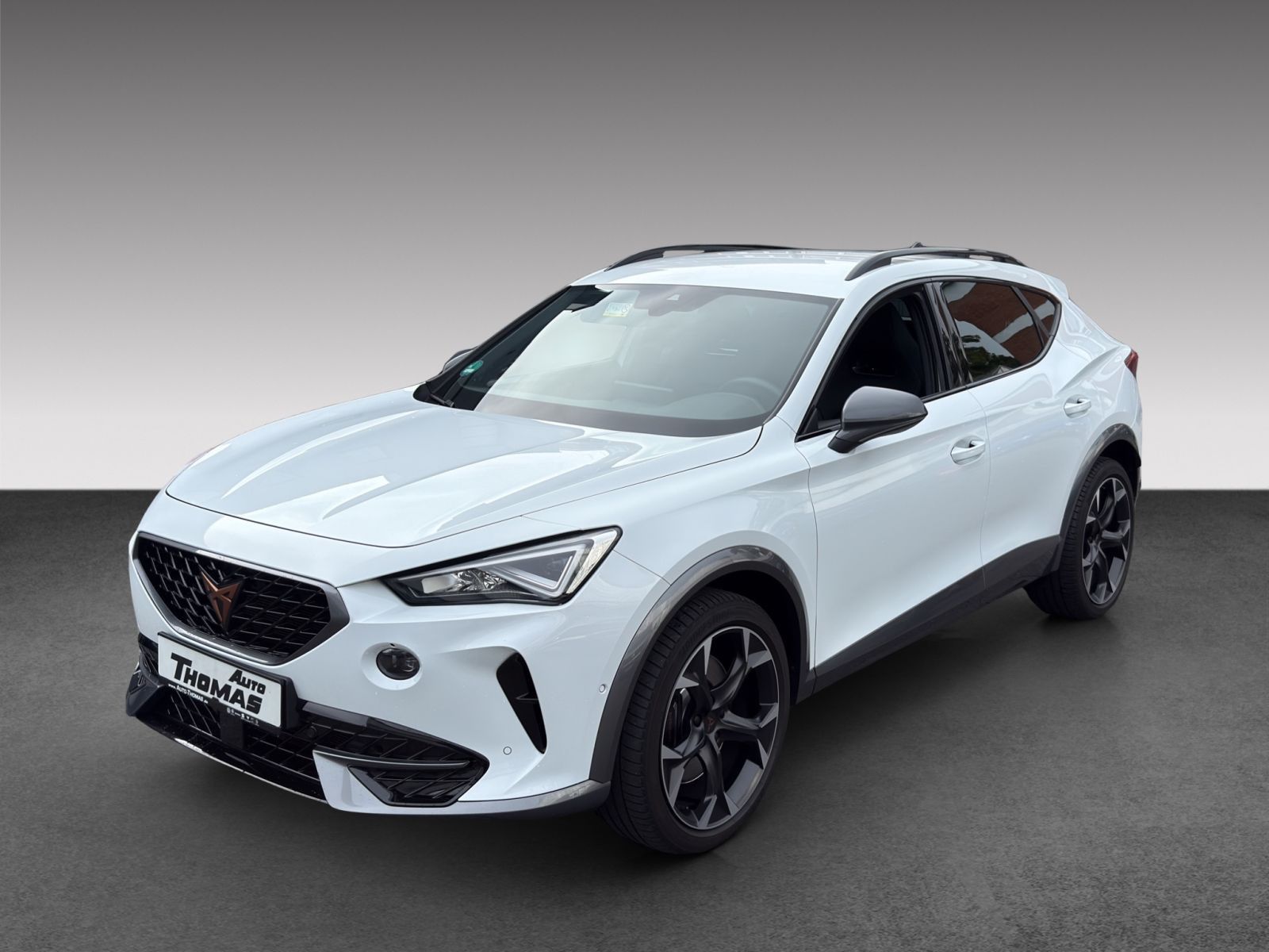 Cupra Formentor VZ 2.0 TSI DSG BEATS+AHK
