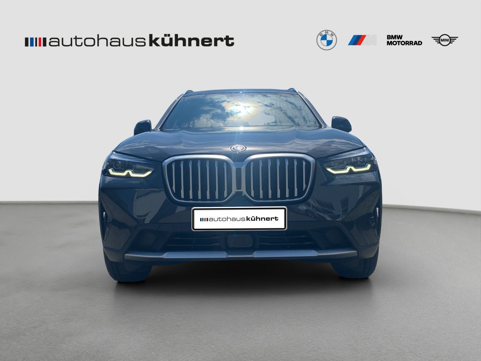 BMW X3 xDrive30e ACC PanoSD SpurAss StHzg AHK