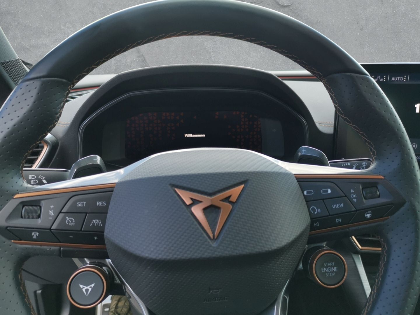 Cupra Formentor VZ 4Drive 2.0 TSI 310PS 7G-DSG AD AHK-