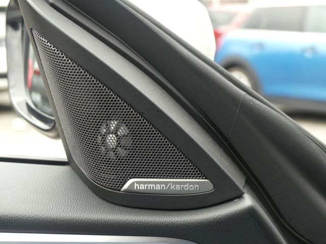 BMW 420 Gran Coupé d xDrive M Sportp.°Stdhzg.19Z-ACC
