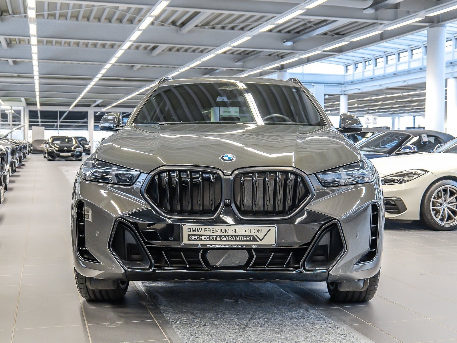BMW X6 xDrive30d M Sport ACC AHK RFK NAVI Standh.