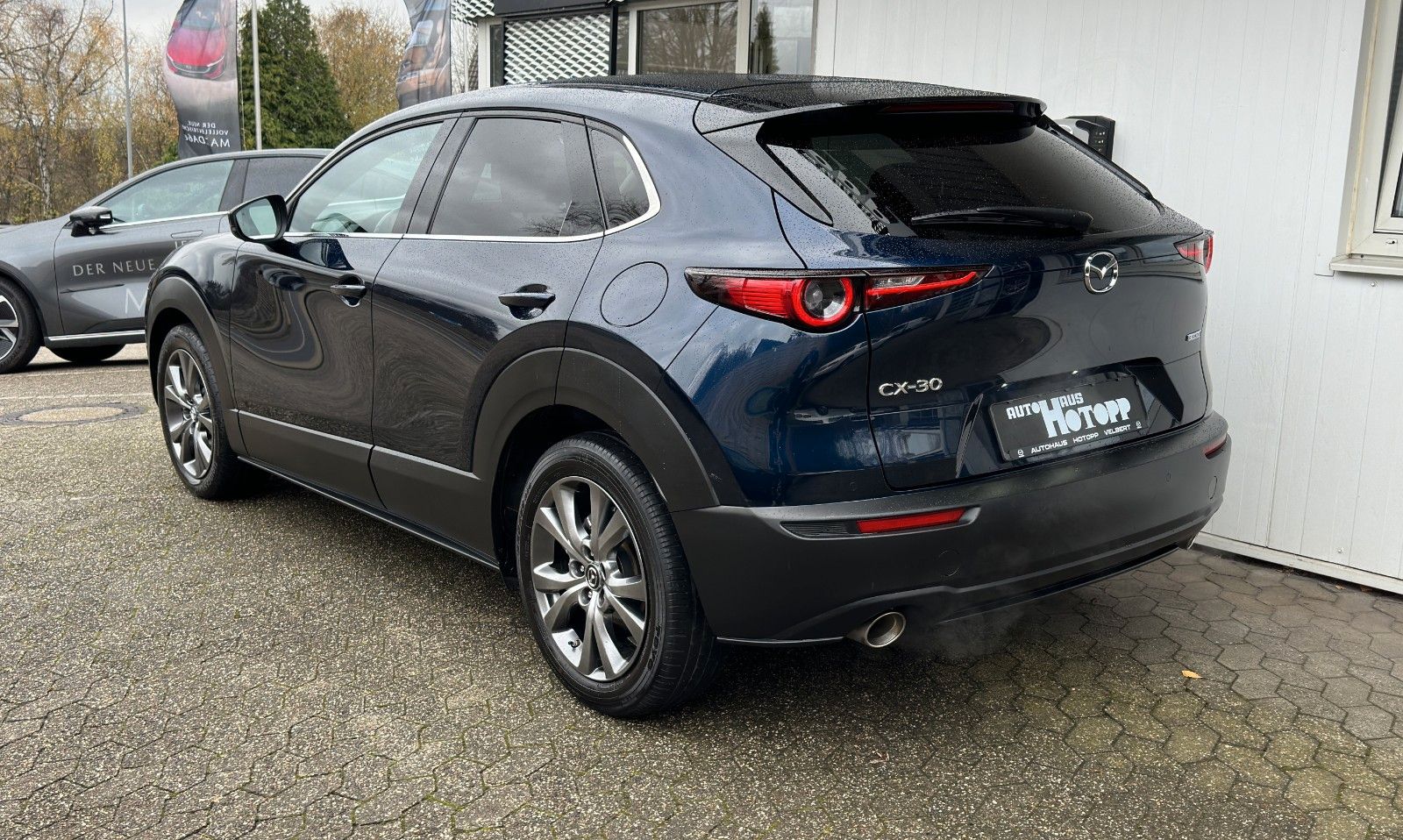 Mazda CX-30 Selection 360° MATRIX BOSE CarPlay Sitzhz