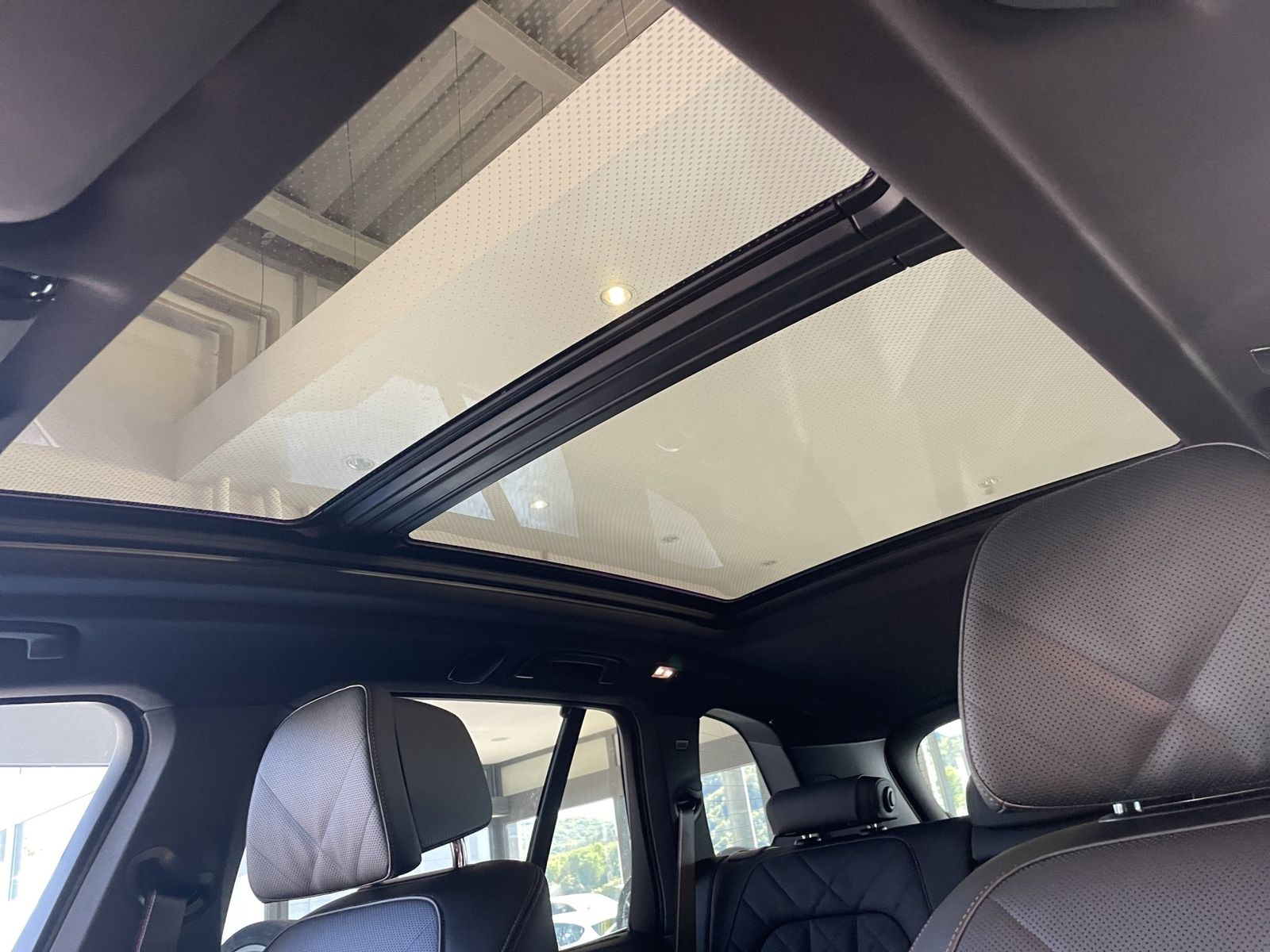 BMW X5 M60i xDr PRO AHK/SHZ/MASS/LUFT/INT/SkyLou/hk