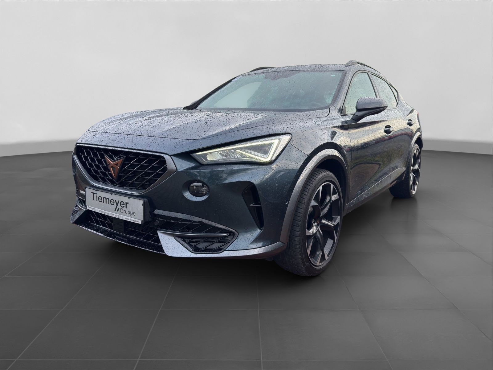 Cupra Formentor 2.0 TSI DSG 4D VZ KAMERA PANO AHK