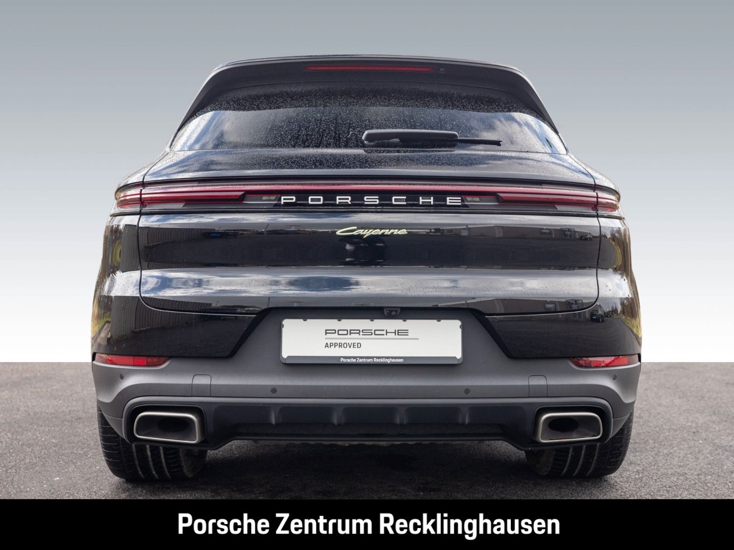 Porsche Cayenne E-Hybrid BOSE Surround-View Panoramadach