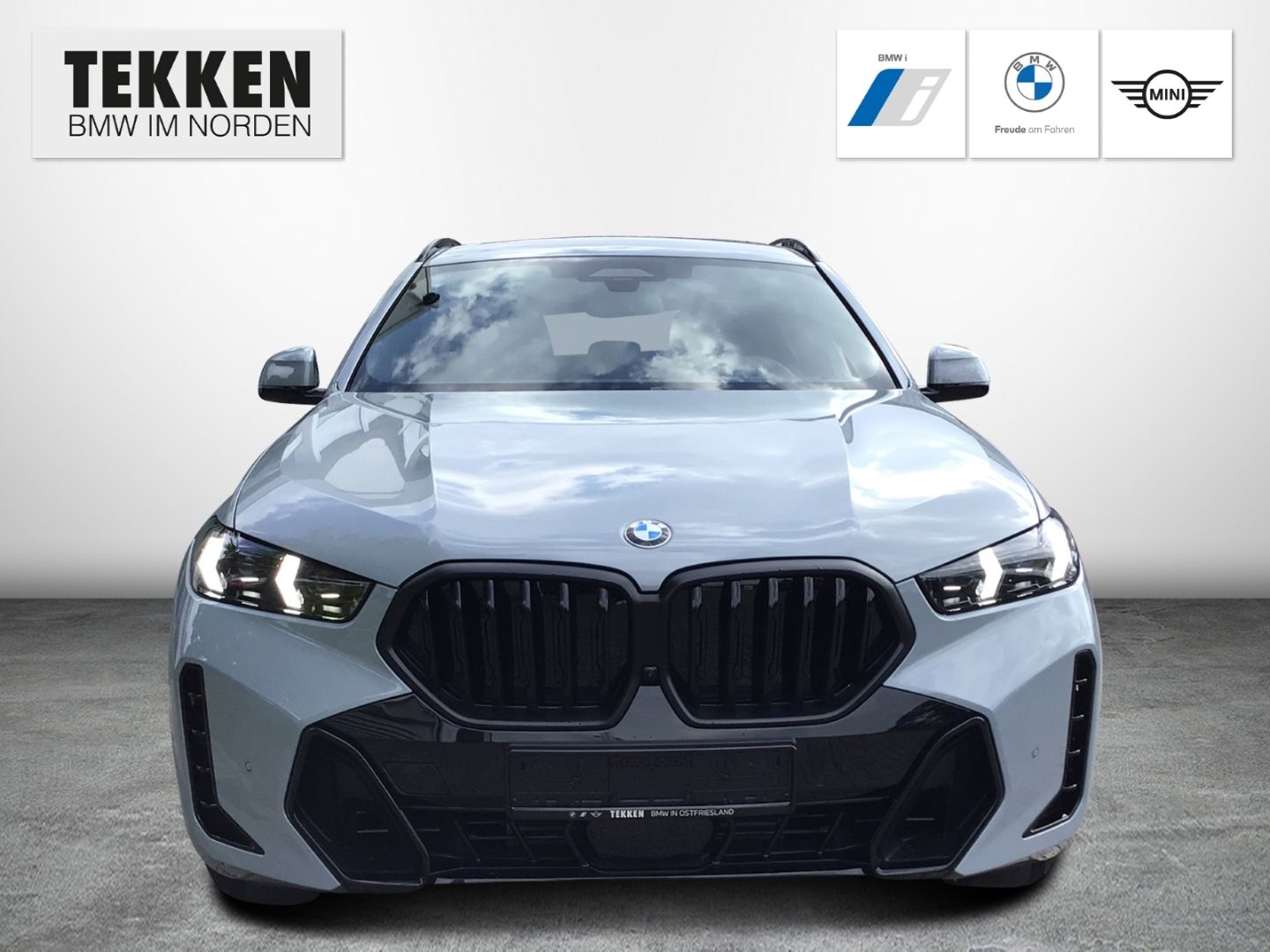 BMW X6 xDrive30d M-Sport Pro AHK/ACC/Luftfed./Massag