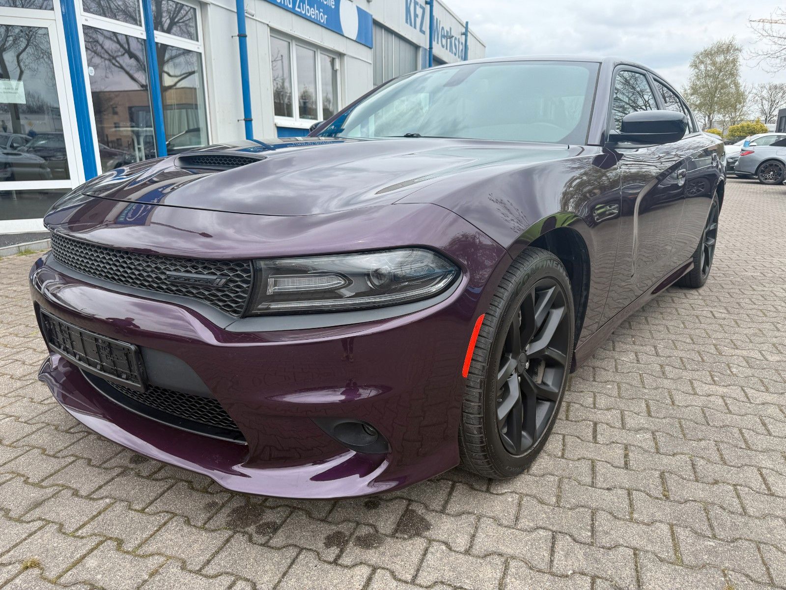Dodge Lederausstattung,R20,ALPINE