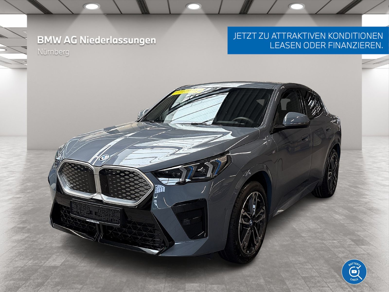 BMW iX2 xDrive30 M Sport Driv.Assist.Prof Harman/K