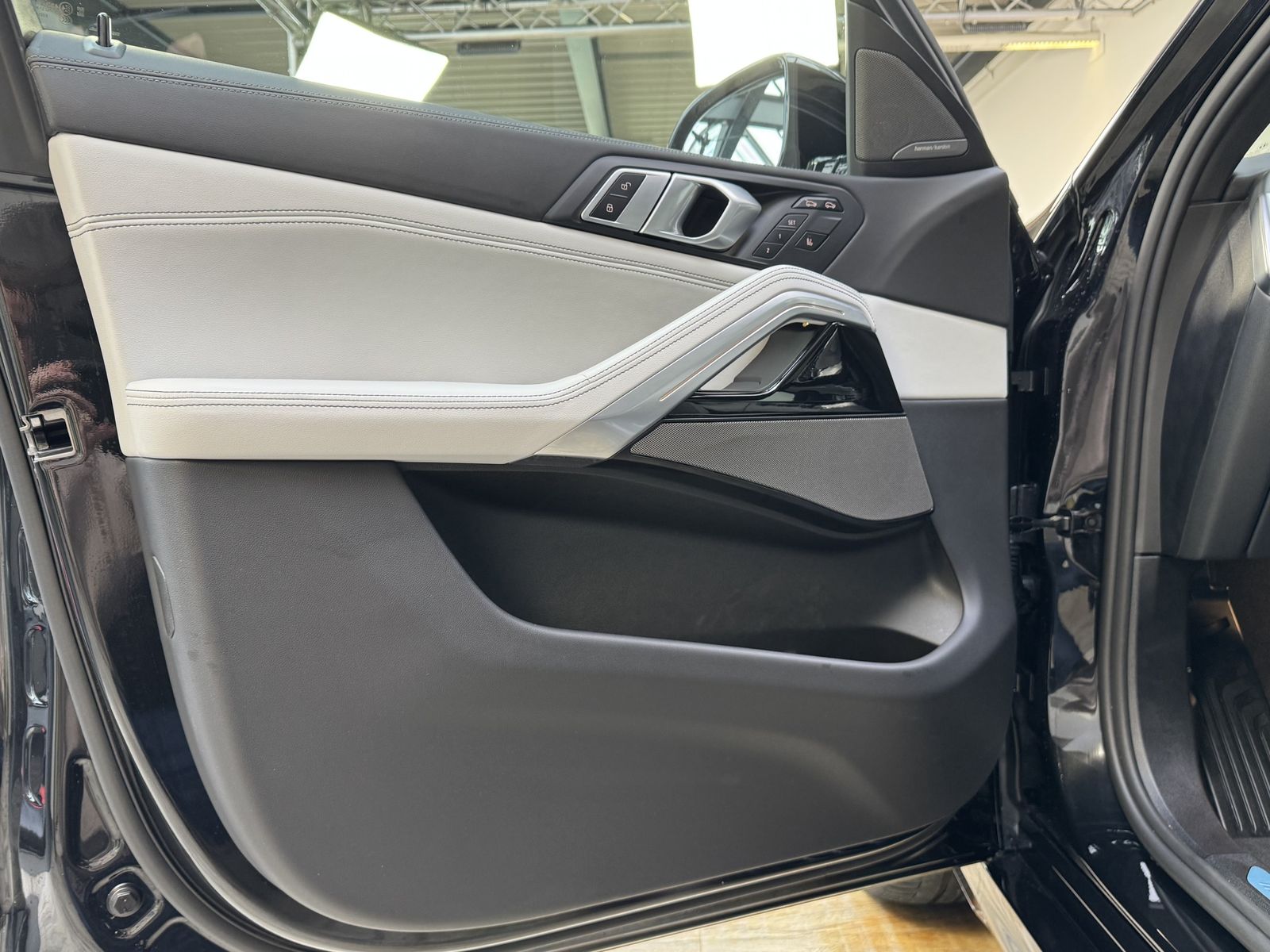 BMW X6 xDrive30d M Sport Pro AHK Pano Sitzlüft. ACC