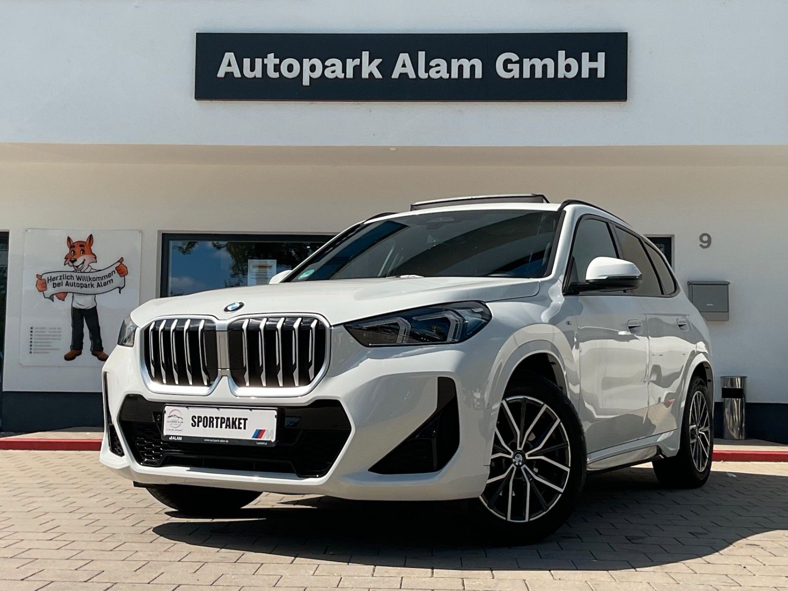 BMW X1 20 d xDrive M Sport ACC AHK H&K Pano RFK