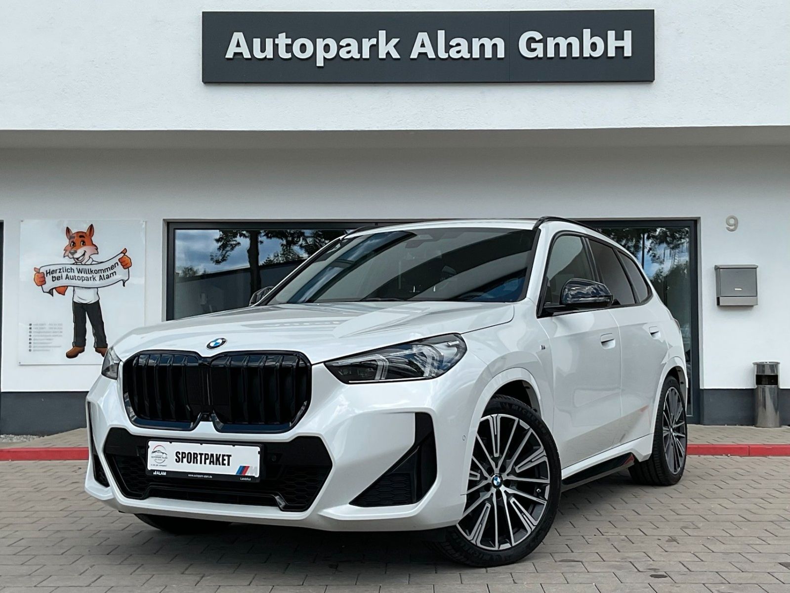BMW X1 23d xDrive M Sport ACC AHK HUD H&K 360°