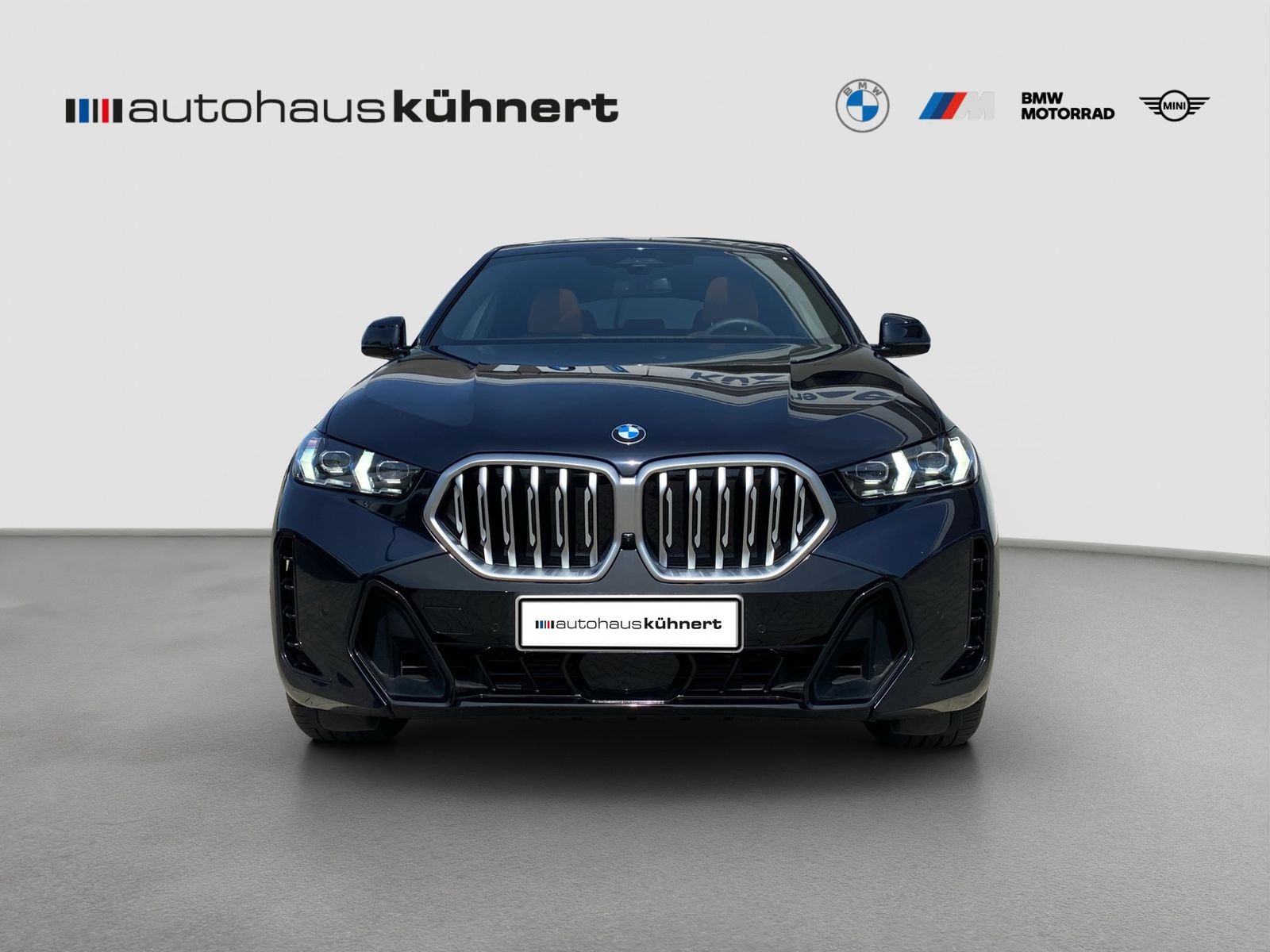 BMW X6 xDrive 40d ///M-Sport ACC PanoSD LuftFw Aktiv