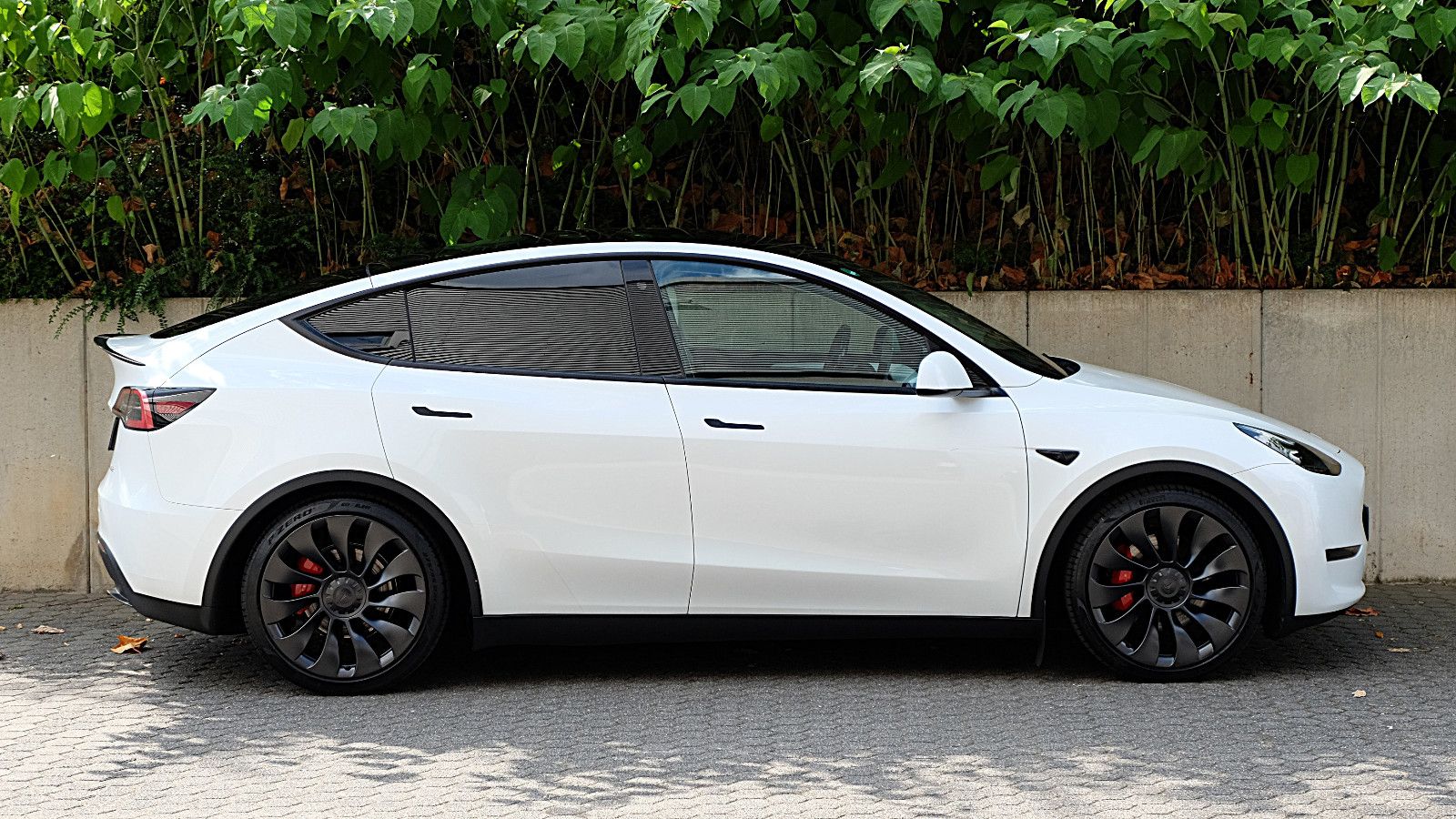 Tesla Model Y Performance Dual Motor AWD, LM 21"