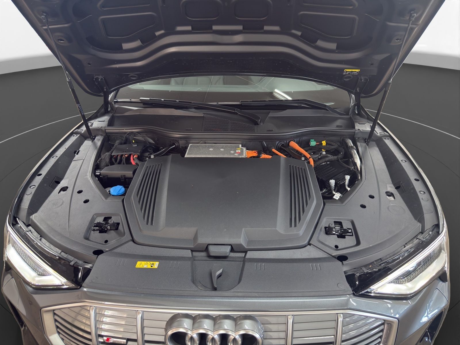 Audi e-tron Sportback 55 qu. S line AHK Pano Matrix L