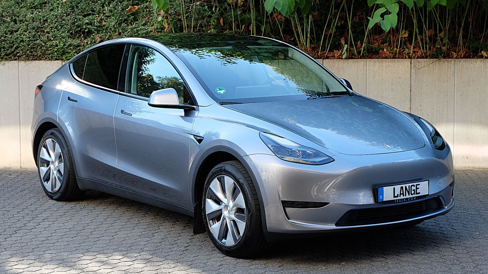 Tesla Model Y Long Range RWD,  Model 2024, Glasdach