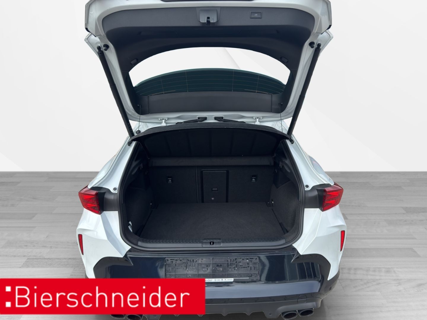 Cupra Formentor VZ 4Drive DSG PANO  AHK MATRIX | INTEL