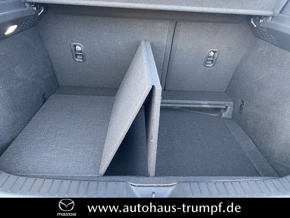 Mazda CX-30 186PS AWD 6AG SELECTION DESIGN-u.PREMIUM-P