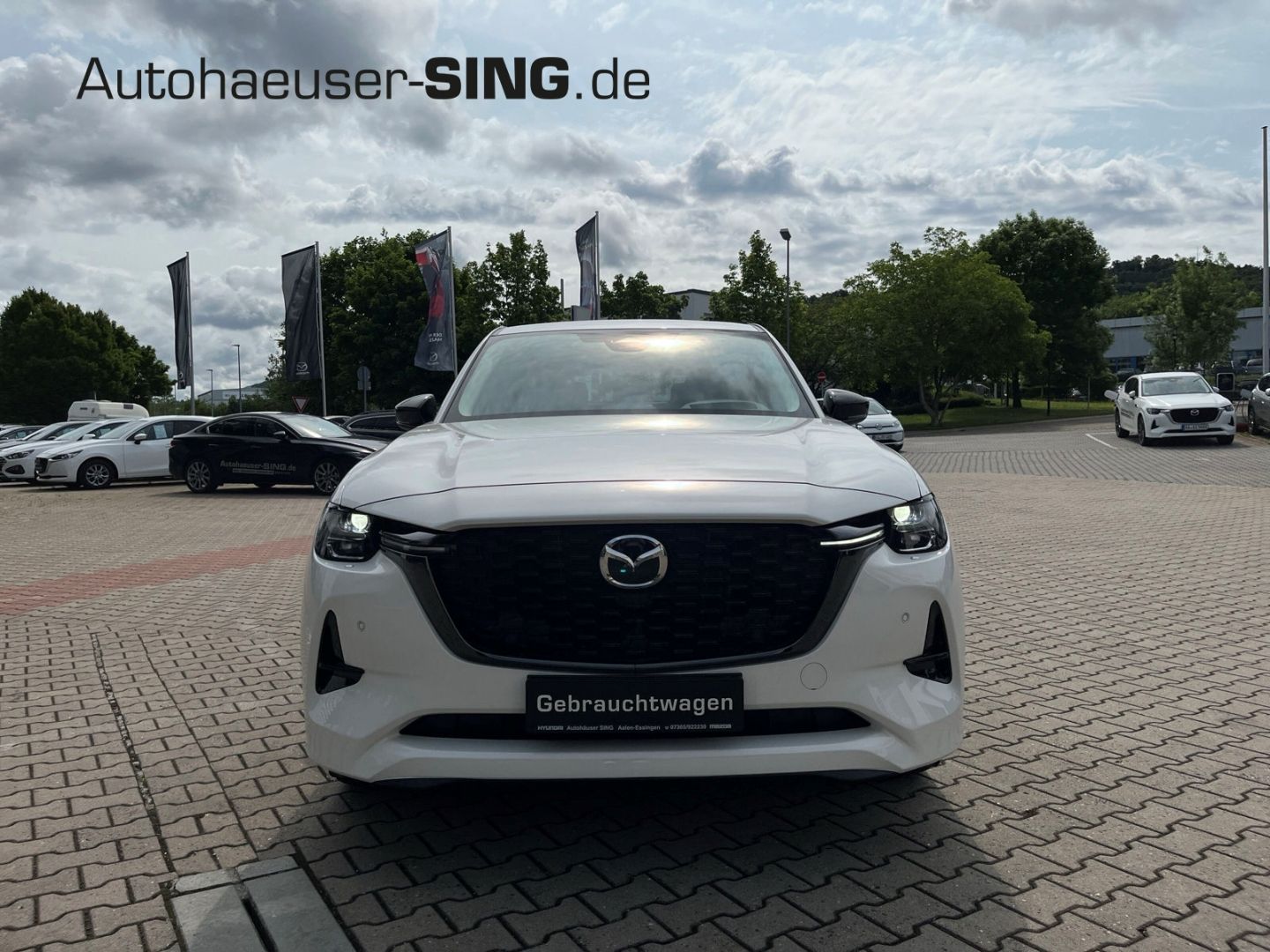 Mazda CX-60 Homura Plug-In-Hybrid Driv.Ass COMF AHK