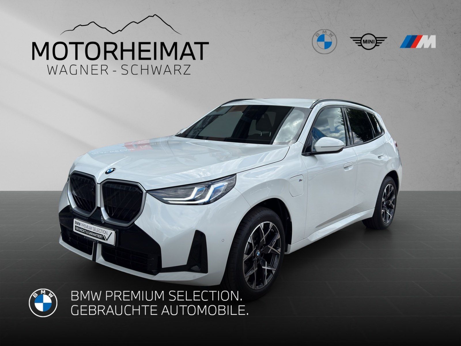 BMW X3 30e xDrive M Sport ACC 360° AHK H&K