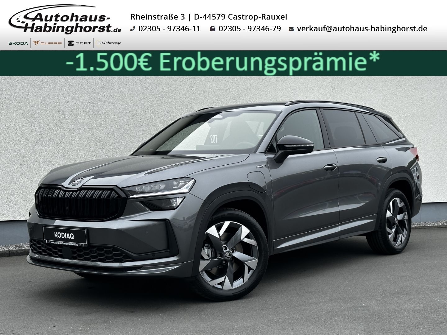Skoda Kodiaq II 1.5 TSI iV DSG Sportline AHK Navi DCC 