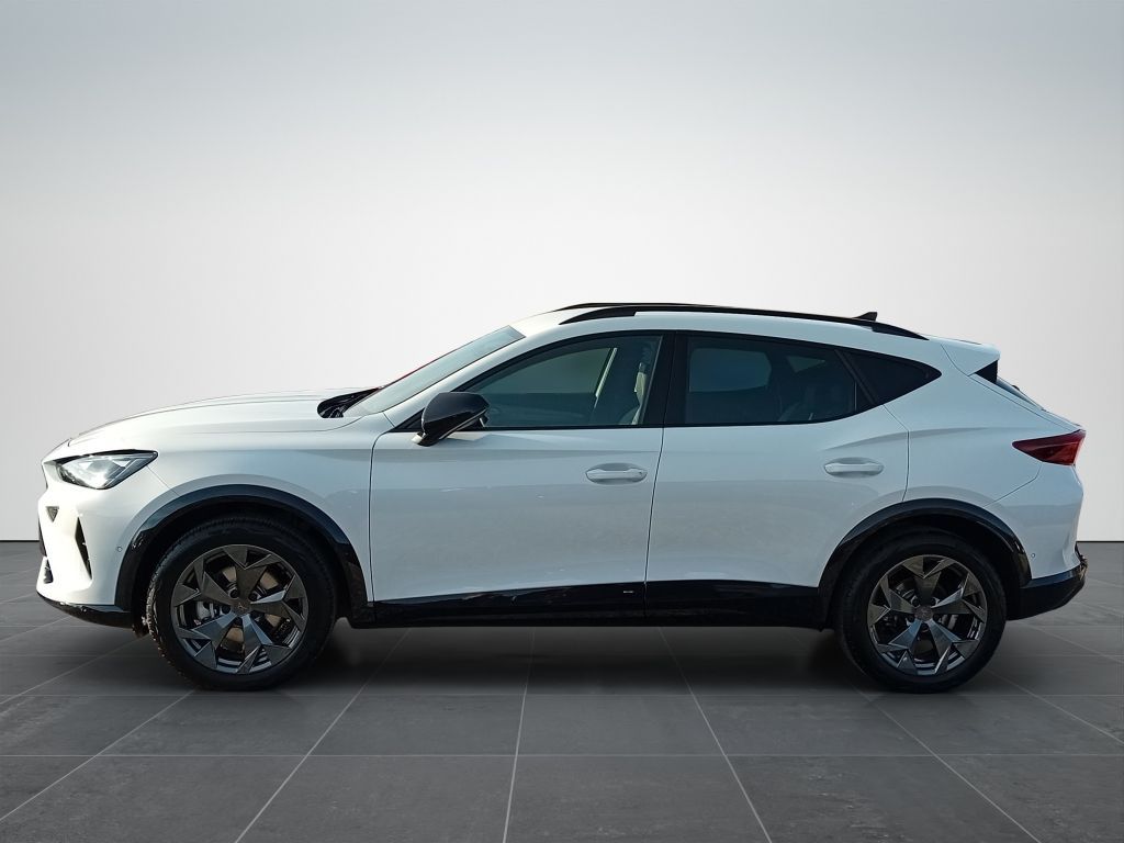 Cupra Formentor 2.0 TSI 4Drive DSG*AHK*Matrix*AHZ*Navi