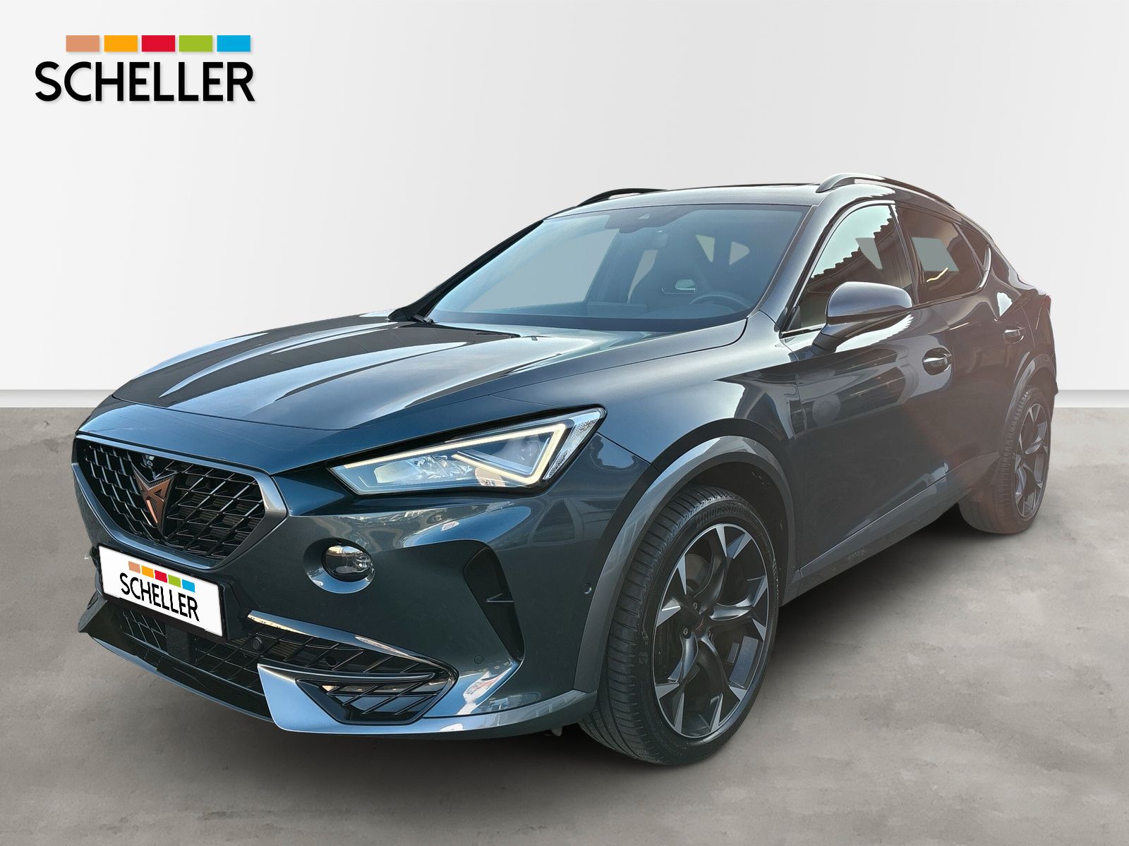 Cupra Formentor VZ 4Drive 2.0 TSI DSG *AHK*PANO*BEATS*