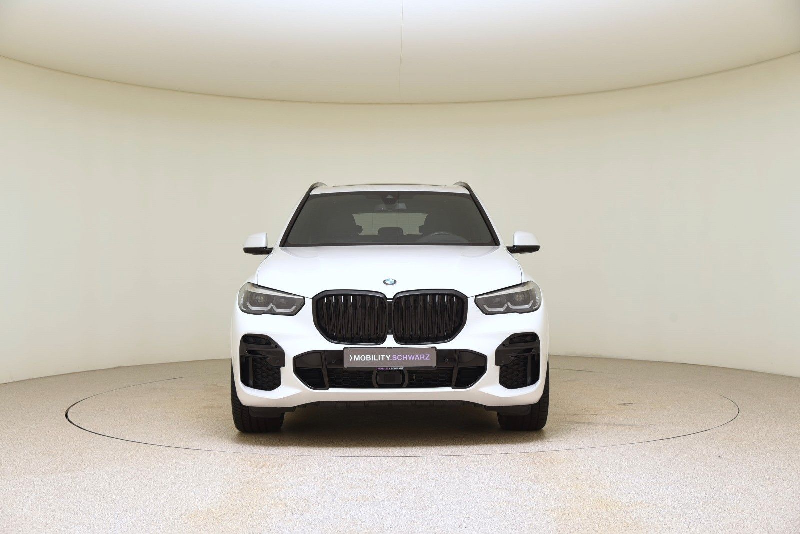 BMW X5 xDrive30d M Sport DriveAss Pano AHK Sthzg LED