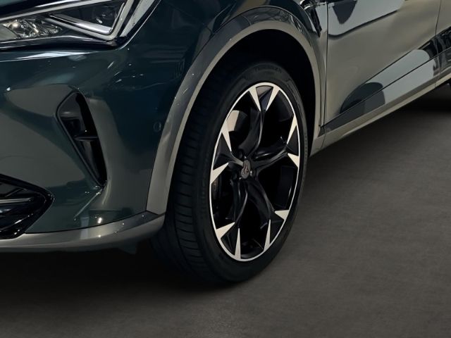 Cupra Formentor 2.0 TSI VZ 4Drive 360 Grad Kamera / AH