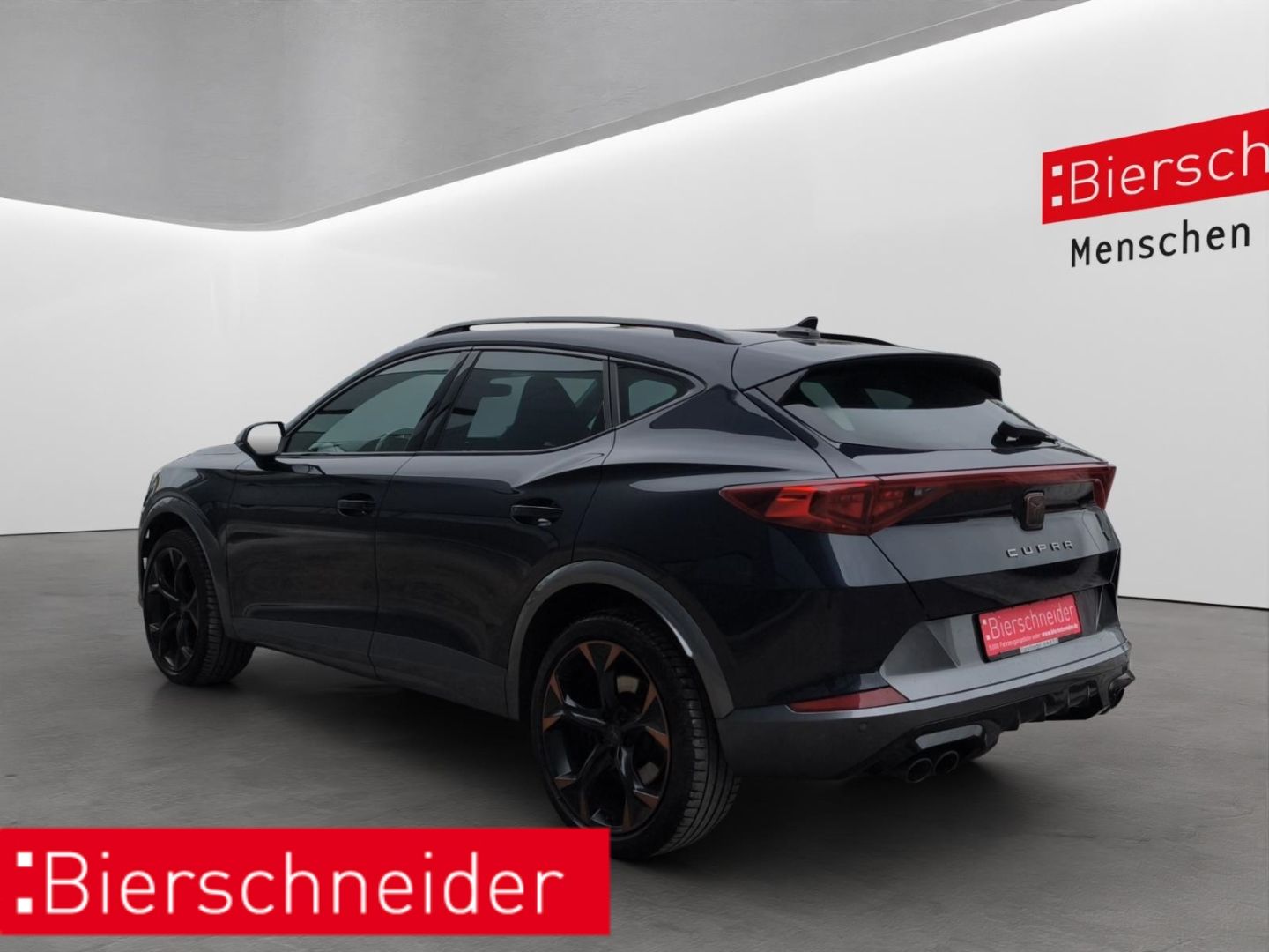 Cupra Formentor 2.0 TSI DSG 4Drive VZ LED NAVI AHK 19