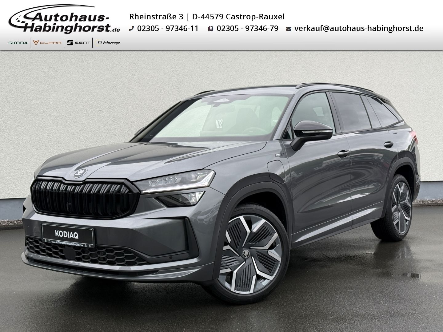 Skoda Kodiaq II 1.5 TSI iV DSG Sportline DCC AHK Matri