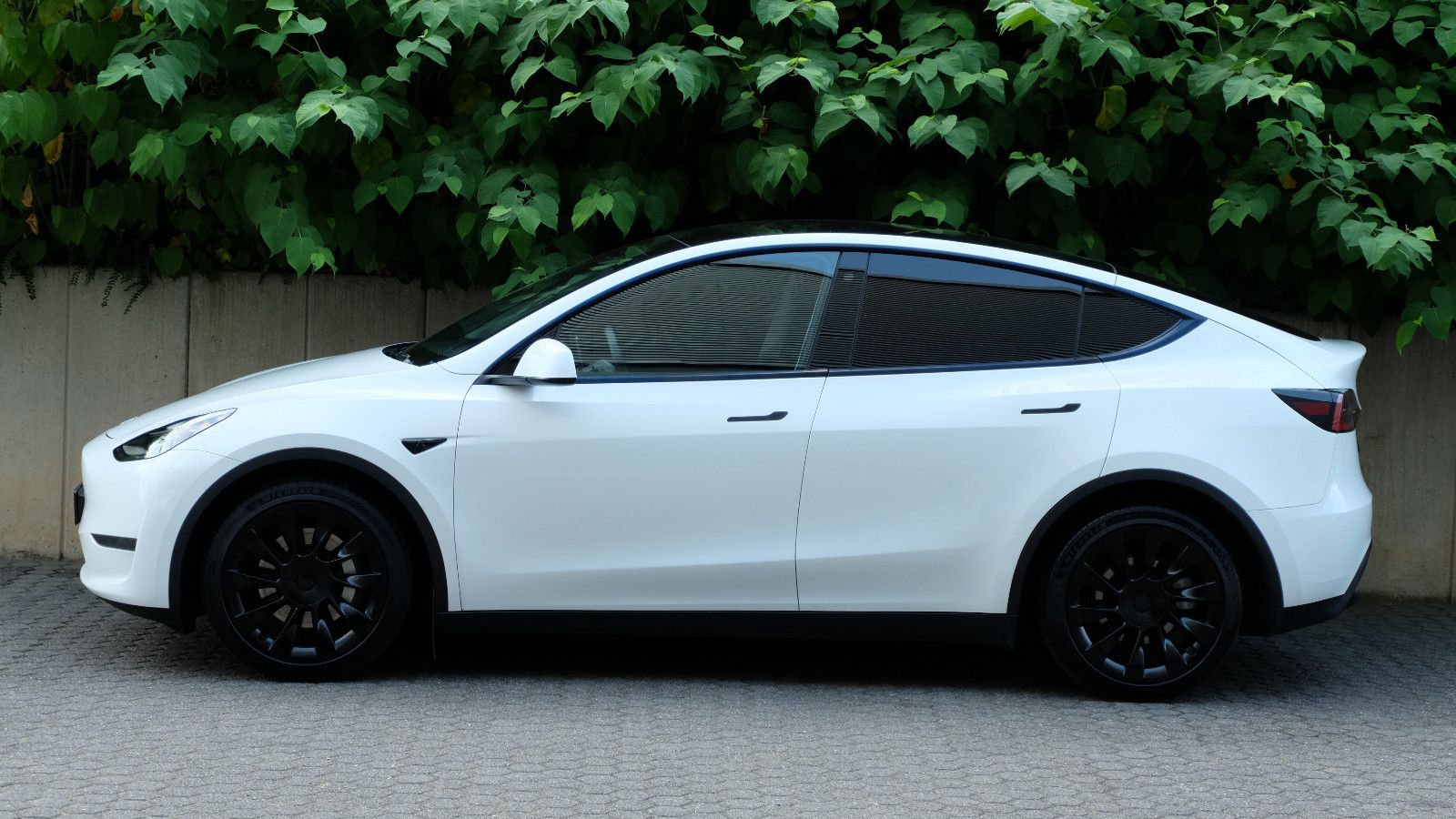 Tesla Model Y Long Range Dual AWD