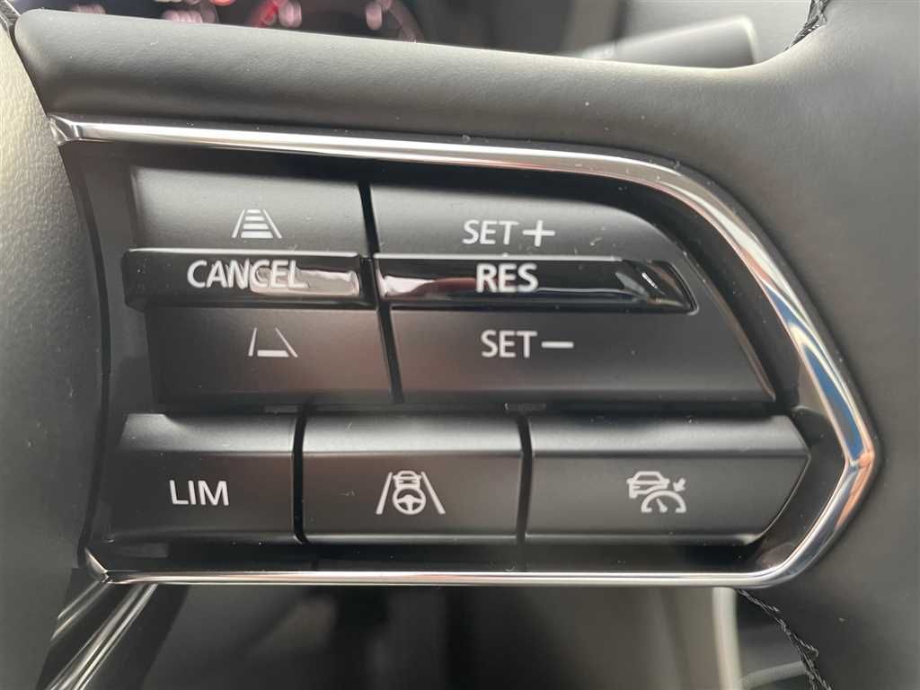 Mazda CX-60 Homura D-254 AWD mit AHK, Schiebedach, Led