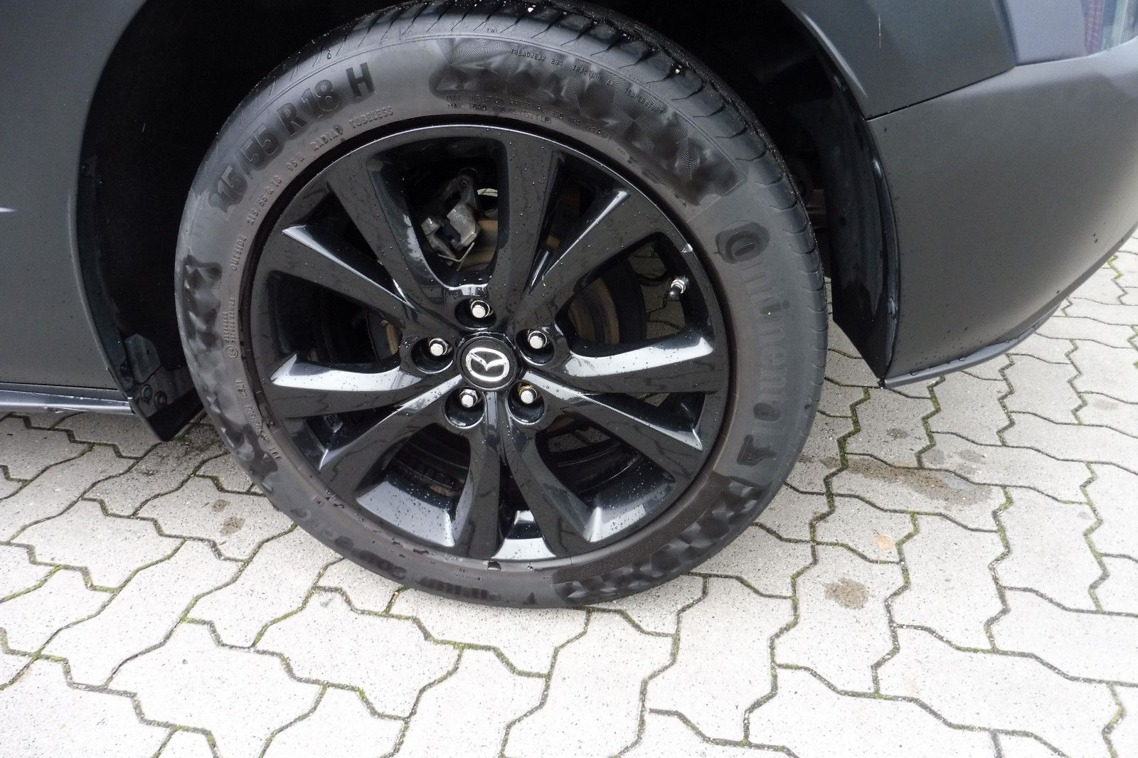 Mazda CX-30 Homura Automatik 150 PS HUD Kamera Navi LE