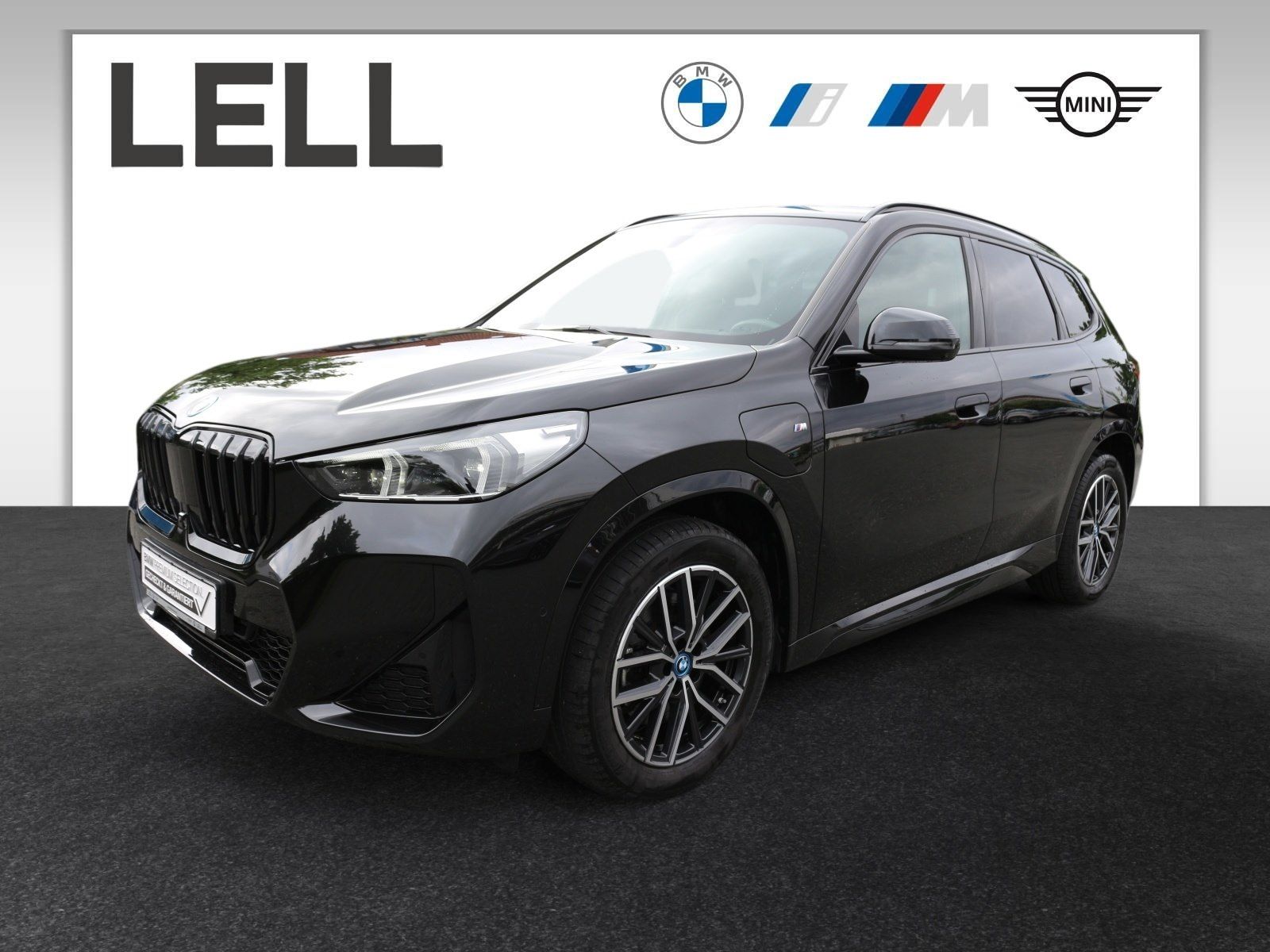 BMW X1 xDrive30e M Sport / Innovationsp / AHK / H&K 