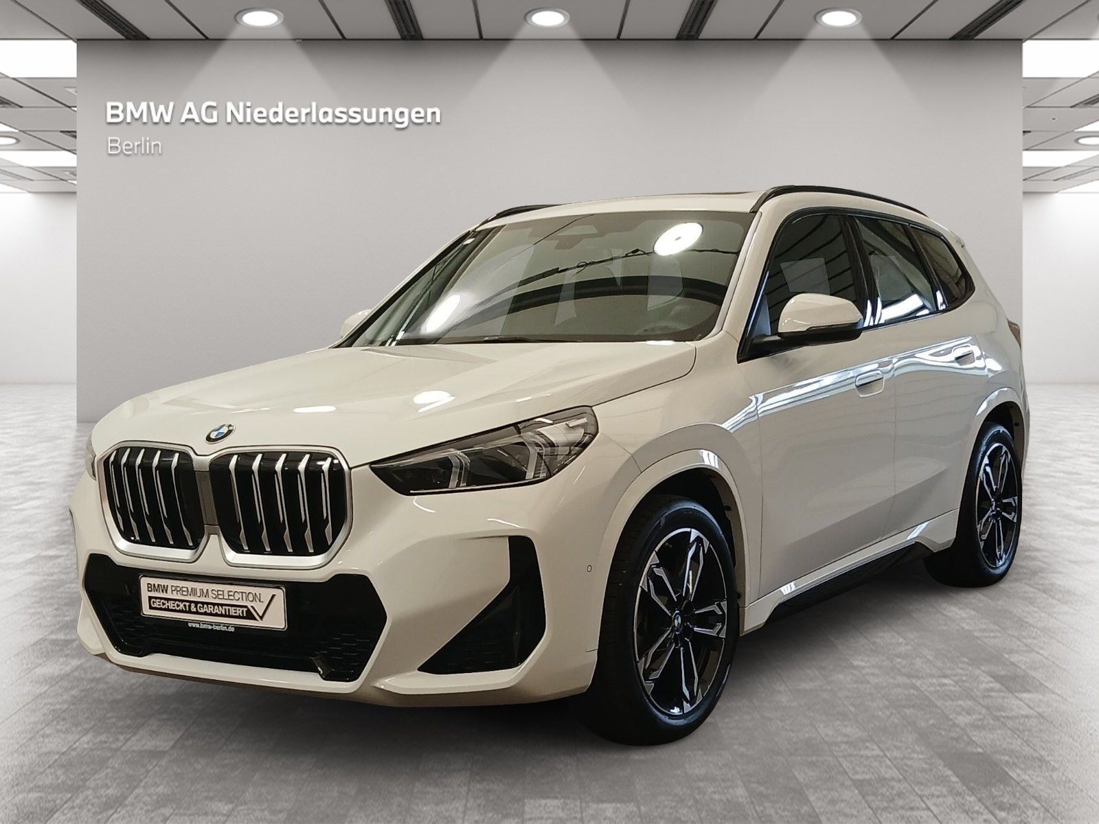 BMW X1 xDrive20d M Sport Navi Driv.Assist+ Pano AHK
