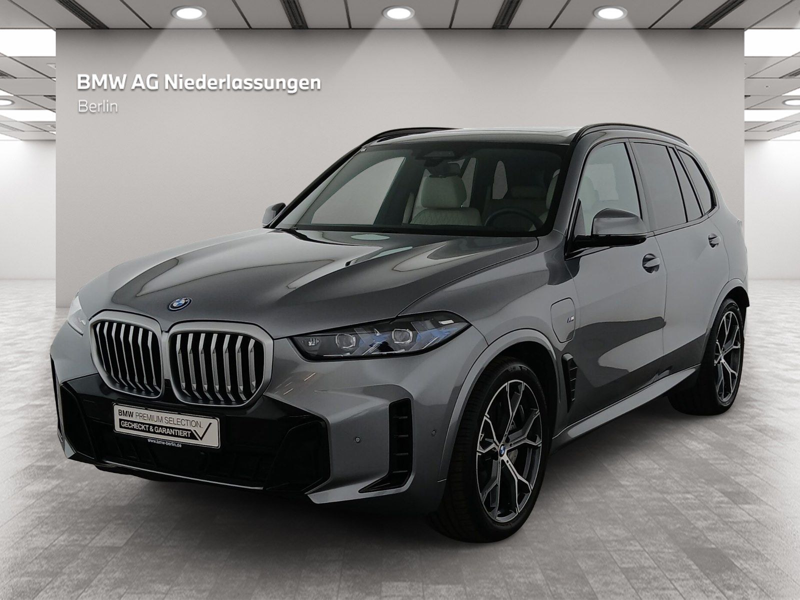 BMW X5 xDrive50e M Sport KomfSitz Pano DAPr PAPr AHK