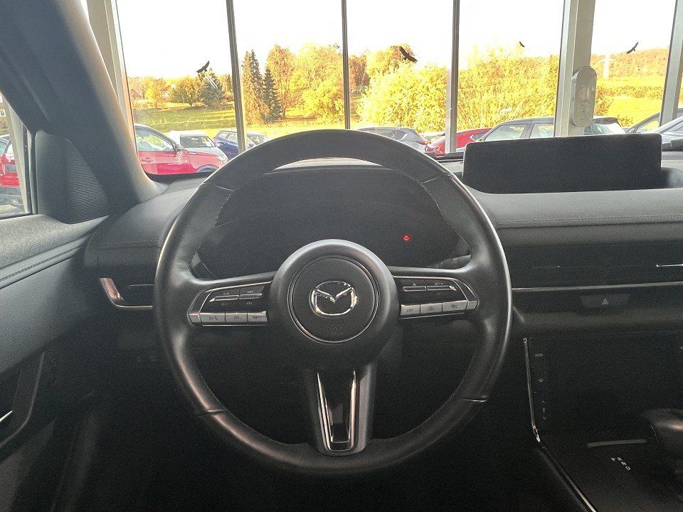 Mazda MX-30 EV BLACK FRIDAY PREIS Makoto Premium Bose,