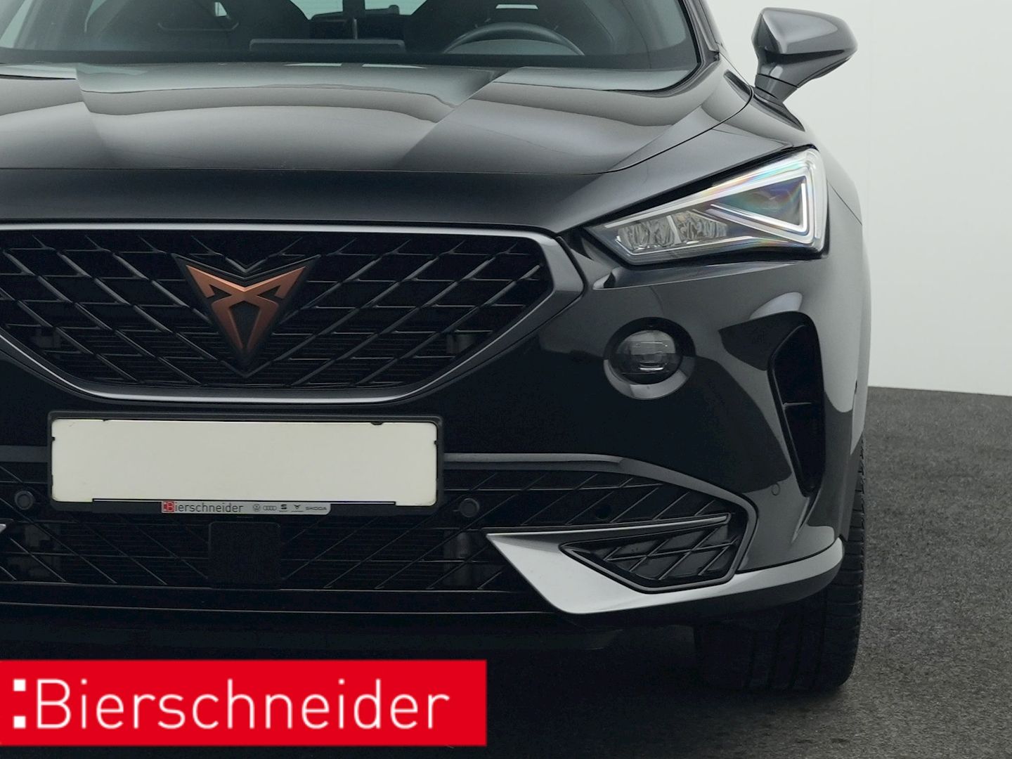 Cupra Formentor 1.4 TSI DSG e-Hybrid VZ PANO AHK KAMER