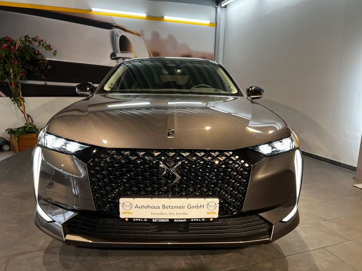 DS Automobiles DS 4 Étoile BlueHDI - SHZ | 360° K. | ACC