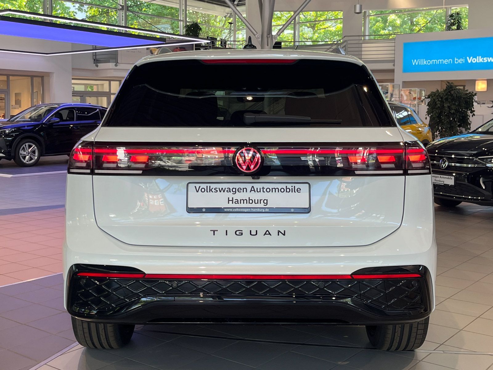 Volkswagen Tiguan 2.0 TSI DSG R-Line 4M Panorama 360°