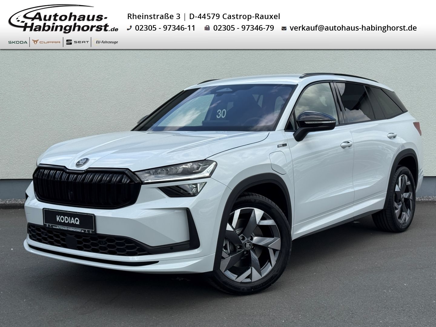 Skoda Kodiaq II 1.5 TSI iV DSG Sportline AHK Navi DCC 