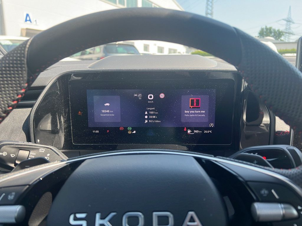 Skoda Kodiaq 2.0 TSI RS 4x4 MATRIX-LED AHK 360° PANO