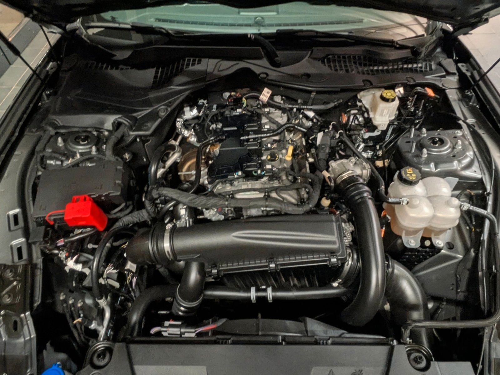 Ford Mustang Dark Horse S650 Look Tüv Neu 1.Hand