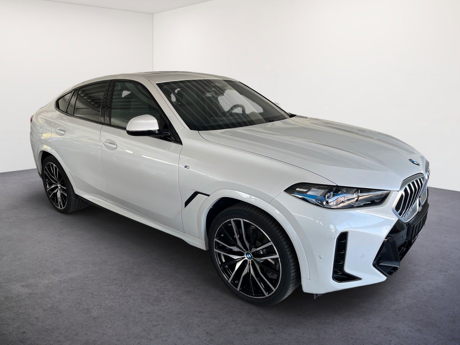 BMW X6 xDrive 40d M SPORT/LED/AHK/PANO-DA/H&K
