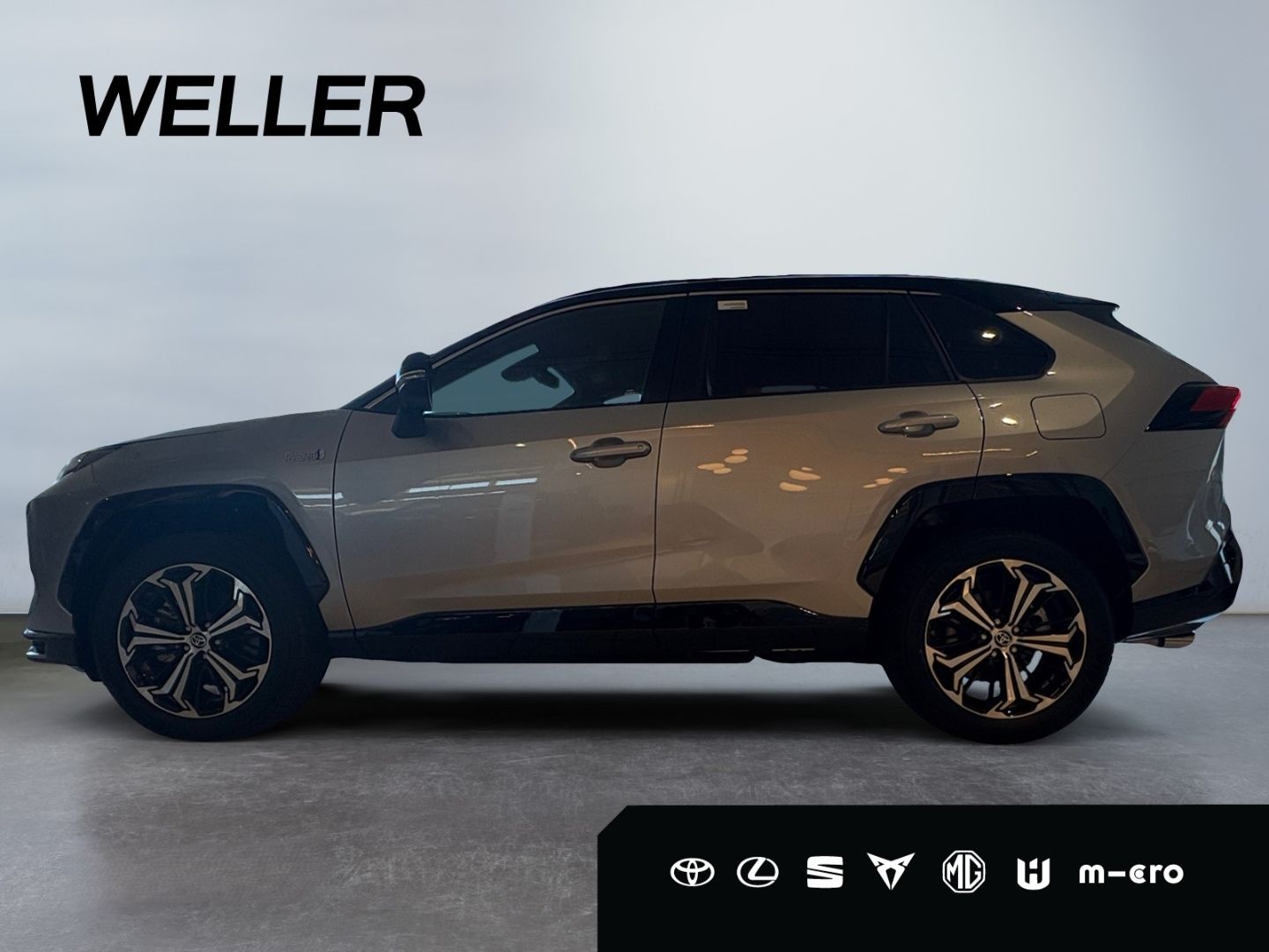 Toyota RAV 4 Plug-in-Hybrid Style 8 Fach bereift