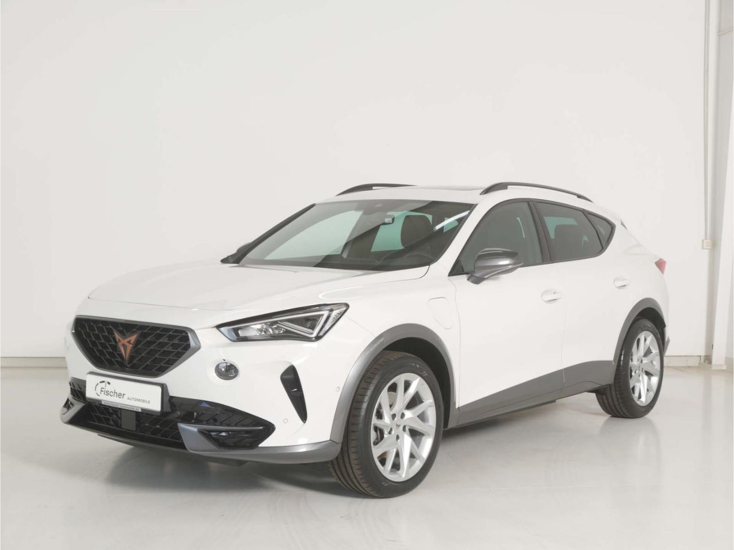 Cupra Formentor 1.4 DSG e-Hybrid AHK/P-Dach/NAV/RFK/SH