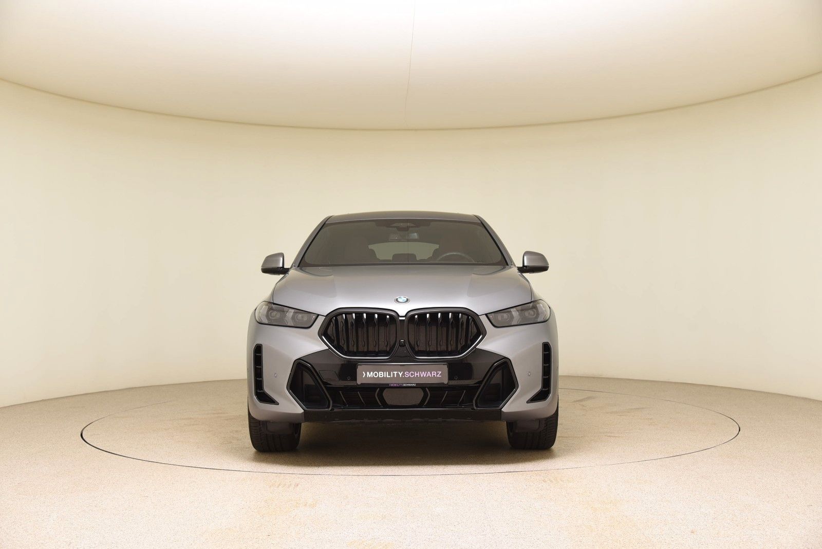 BMW X6 xDrive30d M Sport Pro HUD AHK Pano LED H&K