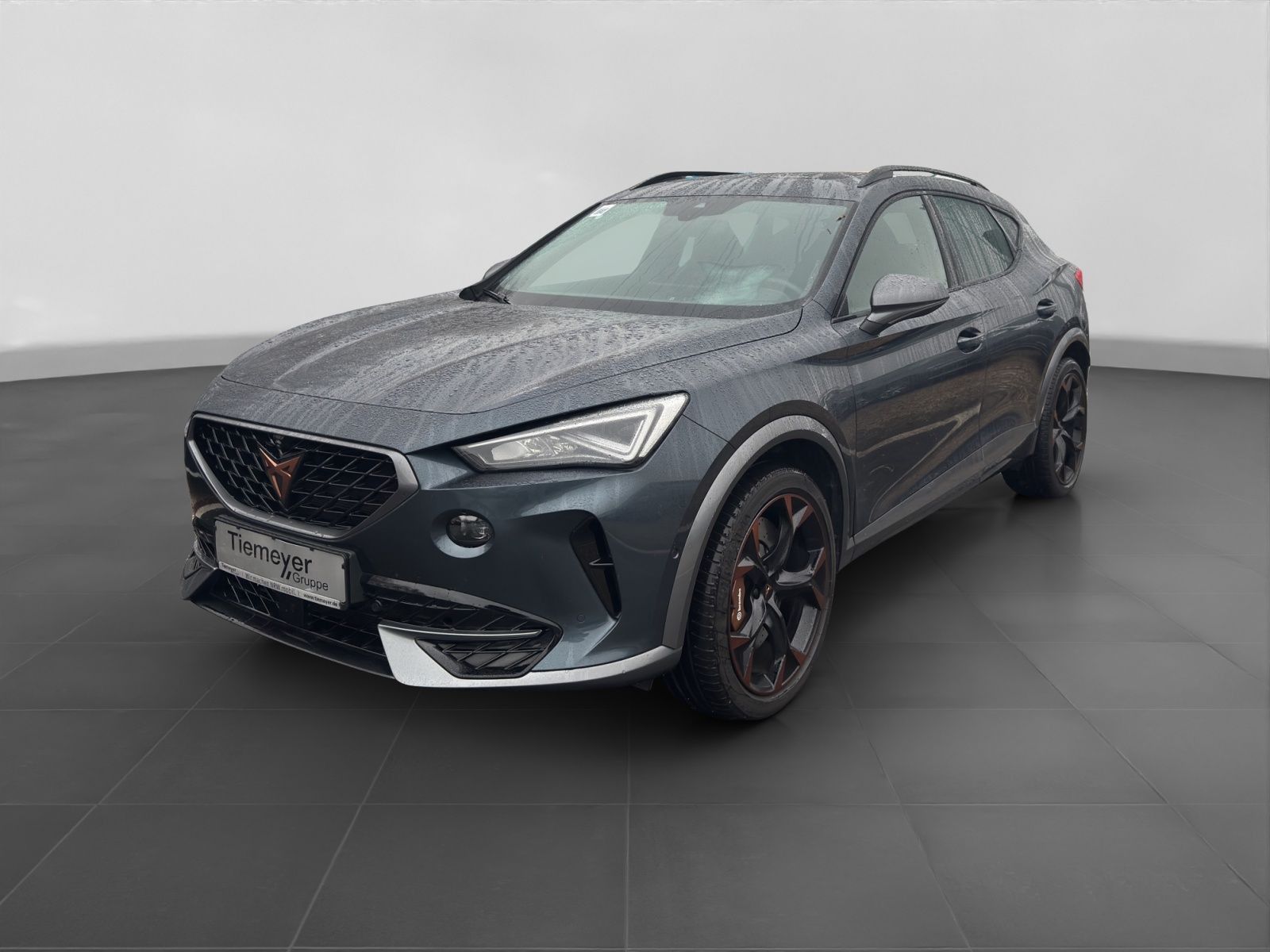 Cupra Formentor 2.0 TSI DSG VZ LEDER BREMBO PANO AHK