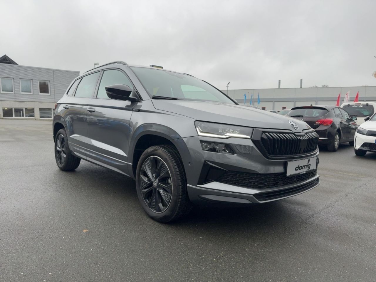 Skoda 4x4 DSG,AHK,LED,SHZ