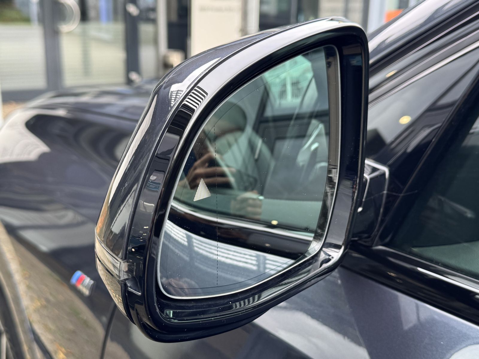 BMW X6 xDrive30d M Sport AHK PANO LASER Sitzklima
